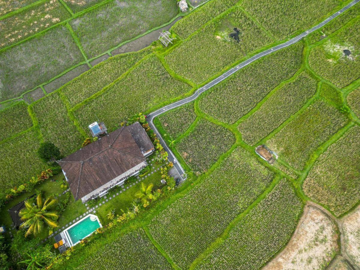 Buddha Homestay Ubud Esterno foto
