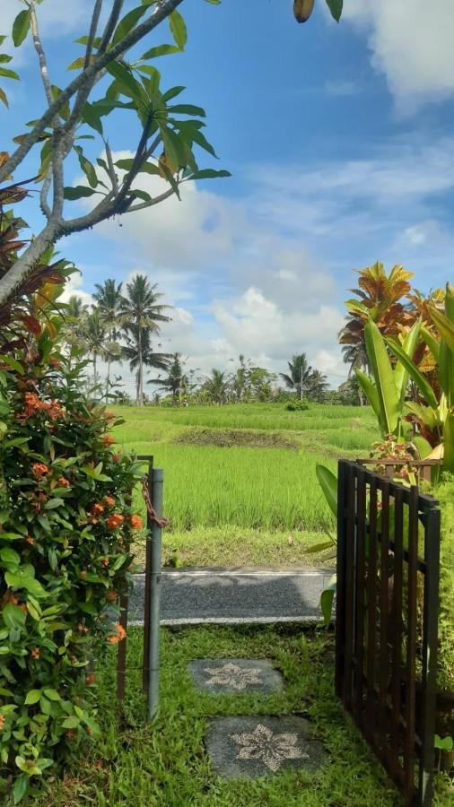 Buddha Homestay Ubud Esterno foto